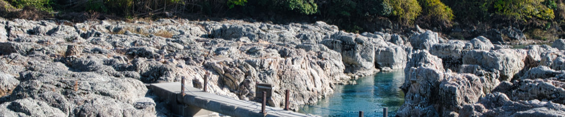 加古川DXプロジェクト